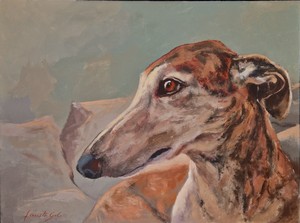 Exposici&oacute;n actual Babel